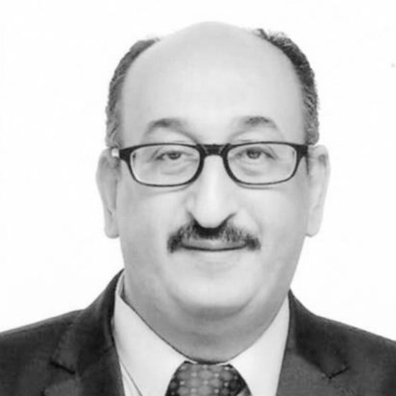 Mohamed Zakaria Soltan（埃及）